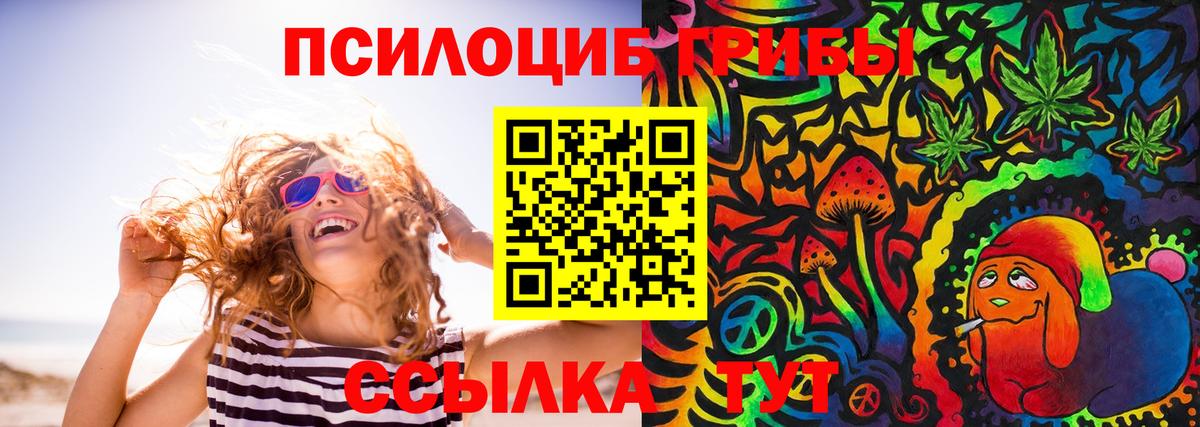 Красноярск  Галлюциногенные грибы Psilocybe  Вход с VPN 